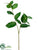 Salala Leaf Spray - Green - Pack of 12