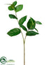 Silk Plants Direct Salala Leaf Spray - Green - Pack of 12