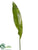 Apista Leaf Spray - Green - Pack of 12