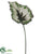 Begonia Leaf Spray - Green Burgundy - Pack of 24