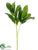 Silk Plants Direct Lamb's Ear Spray - Green - Pack of 12