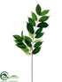 Silk Plants Direct Coffee Leaf Spray - Green - Pack of 12