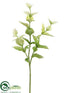 Silk Plants Direct Spring Green Leaf Spray - Variegated - Pack of 12
