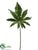 Fatsia Japonica Leaf Spray - Green - Pack of 24