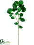 Silk Plants Direct Polyscias Leaf Spray - Green - Pack of 4