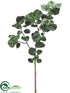Silk Plants Direct Polyscias Leaf Spray - Green - Pack of 2