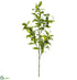 Silk Plants Direct Laurel Leaf Spray - Green - Pack of 12