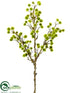 Silk Plants Direct Moss Ball Branch - Green - Pack of 12