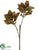 Magnolia Leaf Spray - Green Burgundy - Pack of 6