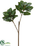 Silk Plants Direct Magnolia Leaf Spray - Green - Pack of 6