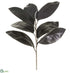 Silk Plants Direct Magnolia Leaf Spray With 5 Leaves - Black - Pack of 12