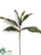 Magnolia Leaf Spray - Green Burgundy - Pack of 12