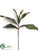 Magnolia Leaf Spray - Green Burgundy - Pack of 12