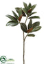 Silk Plants Direct Magnolia Leaf Spray - Green Dark - Pack of 12