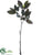Silk Plants Direct Magnolia Leaf Branch - Green - Pack of 6