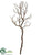 Manzanita Tree Branch - Brown - Pack of 6