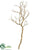 Manzanita Tree Branch - Natural - Pack of 6