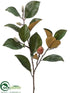 Silk Plants Direct Magnolia Leaf Spray - Green - Pack of 6