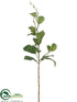 Silk Plants Direct Meadow Leaf Spray - Green - Pack of 12