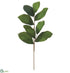 Silk Plants Direct Magnolia Leaf Spray - Green - Pack of 24