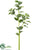 Silk Plants Direct Oregano Spray - Green Cream - Pack of 6