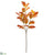 Oak Leaf Spray - Fall - Pack of 12