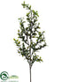 Silk Plants Direct Mini Pittosporum Spray - Variegated - Pack of 6