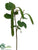 Hanging Pea Pod Spray - Green - Pack of 12