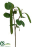 Silk Plants Direct Hanging Pea Pod Spray - Green - Pack of 12