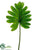 Philodendron Leaf Spray - Green - Pack of 12