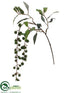 Silk Plants Direct Hanging Privet Spray - Green - Pack of 24