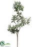 Silk Plants Direct Pittosporum Spray - Green - Pack of 6