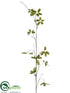 Silk Plants Direct Pea Pod Leaf Spray - Green - Pack of 6