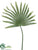 Fan Palm Frond - Green - Pack of 12