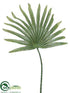 Silk Plants Direct Fan Palm Frond - Green - Pack of 12