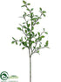 Silk Plants Direct Rose, Myrtle Leaf Spray - Green - Pack of 12