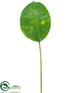 Silk Plants Direct Rubber Plant Leaf Spray - Green - Pack of 12