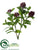 Skimmia Branch - Burgundy Green - Pack of 12