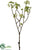 Seed Branch - Green - Pack of 24