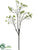 Seed Branch - Green - Pack of 12