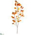Silk Plants Direct Silver Dollars Spray - Orange Yellow - Pack of 12