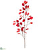Silk Plants Direct Silver Dollars Spray - Red - Pack of 12
