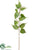Silk Plants Direct Stachyurus Leaf Spray - Green - Pack of 12