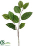 Silk Plants Direct Salal Leaf Spray - Green Two Tone - Pack of 12