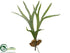 Silk Plants Direct Staghorn Plant - Green - Pack of 6
