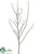 Twig Branch - Brown - Pack of 12