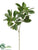 Silk Plants Direct Viburnum Spray - Green - Pack of 12