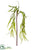 Willow Stem - Green - Pack of 72