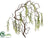 Willow Branch - Green - Pack of 12