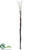 Seeded Willow Spray Bundle - Brown - Pack of 12
